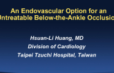 Case #1: An Endovascular Option for an Untreatable Below-the-Ankle Occlusion