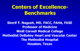 Building an HCM Program - Benchmarks for Centers of Excellence
