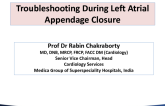 Troubleshooting During Left Atrial Appendage Closure