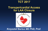 Transpericardial Access for LAA Closure