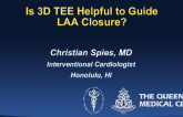 Is 3D TEE Helpful to Guide LAA Closure?