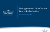 Device Embolization: Frequency, Prevention, and Treatment (With Case Reviews)