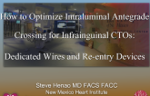 How to Optimize Intraluminal Antegrade Crossing for Infrainguinal CTOs: Dedicated Wires and Re-entry Devices