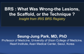 BRS Randomized Trials: What Was Wrong – the Lesions, the Scaffold, or the Technique?