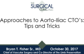 Approaches to Aorto-Iliac CTOs: Tips and Tricks