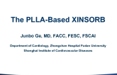 The PLLA-Based Xinsorb