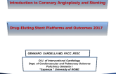 Drug-Eluting Stent Platforms and Outcomes 2017