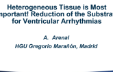 Heterogeneous Tissue Is Most Important! Reduction of the Substrate for Ventricular Arrhythmias Will Have Better Impact on Cardiovascular Mortality