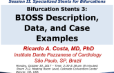Bifurcation Stents 3: BIOSS Description, Data, and Case Examples