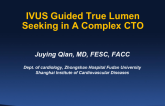 Complex Case #2: IVUS Guided True Lumen Seeking in a Complex CTO