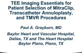 TEE Imaging Essentials for Patient Selection of Mitraclip, Transcatheter Annuloplasty, and TMVR Procedures