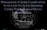 Management of Acute Complications From LAA Occlusion, Including Cardiac Perforation and Device Embolization (With Discussion)