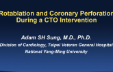 Case #1: Rotablation and Coronary Perforation During a CTO Intervention