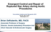 Emergent Control and Repair of Ruptured Iliac Artery During Aortic Procedures