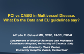 PCI vs CABG in Multivessel Disease: What Do the Data and EU Guidelines Say?