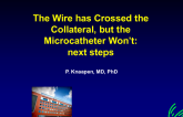 The Wire Has Crossed the Collateral, but the Microcatheter Won't: Next Steps