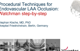 Procedural Techniques for Endovascular LAA Occlusion: Watchman Step-by-step (With Discussion)