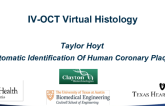 TCT 45: IV-OCT Virtual Histology: Automatic Identification of Human
