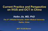 Current Practice and Perspectives on IVUS and OCT in China
