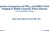 ReASSESS: Diagnostic Accuracy of FFRCT and SPECT Perfusion Imaging Compared to FFR in Patients With Coronary Artery Disease