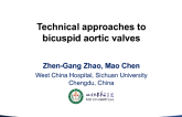 Technical Approach to Bicuspid Aortic Valves