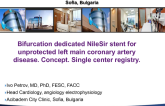 Bifurcation Stents 4: NILE Description, Data, and Case Examples