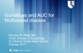 PCI vs CABG in Multivessel Disease: What Do the US Guidelines and AUC Say?