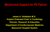 Diagnosis and Treatment Options for RV Shock