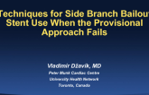 Techniques for Side Branch Bailout Stent Use When the Provisional Approach Fails