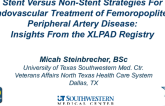TCT 60: Stent Versus Non-Stent Strategies for Endovascular Treatment of Femoropopliteal Peripheral Artery Disease: Insights from the XLPAD Registry