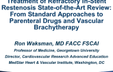 Treatment of Refractory In-Stent Restenosis State-of-the-Art Review: From Standard Approaches to Parental Drugs and Vascular Brachytherapy