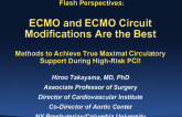 Flash Perspectives: ECMO and ECMO Circuit Modifications Are the Best Methods to Achieve True Maximal Circulatory Support During High-Risk PCI!