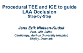 Procedural TEE and ICE to Guide LAA Occlusion Step-by-step (With Discussion)