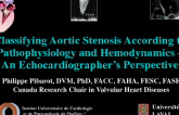 Classifying Aortic Stenosis According to Pathophysiology and Hemodynamics – An Echocardiographer's Perspective