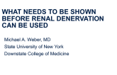 What Needs to Be Shown Before Renal Denervation Can Be Used in Clinical Practice?