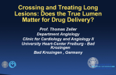 Crossing and Treating Long Lesions: Does the True Lumen Matter for Drug Delivery?