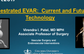 Fenestrated EVAR: Current and Future Technology