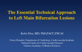 The Essential Technical Approach to Left Main Bifurcation Lesions