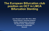 Case #1: The European Bifurcation Club Position on OCT in LMCA Bifurcation Stenting