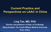 Current Practice and Perspectives on LAAC in China