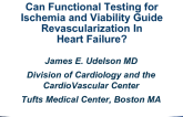 Can Functional Testing for Ischemia and Viability Guide Revascularization in Heart Failure?