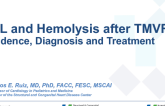 Paravalvular Leak and Hemolysis After TMVR: Incidence, Diagnosis, and Treatment