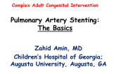 Case #8: Pulmonary Artery Stenting - The Basics (With Discussion)