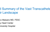 Keynote Address: Grand Summary of the Vast Transcatheter MV Repair Landscape