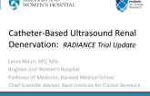 Catheter-Based Ultrasound Renal Denervation: RADIANCE Trial Update