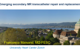 Emerging Secondary MR Transcatheter Repair and Replacement Therapies