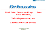 FDA Perspectives on TAVR Label Expansion Using Real-World Evidence, Valve Degeneration, and Embolic Protection Devices