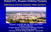 Switching to and From Cangrelor: When and How?