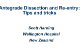 Antegrade Dissection and Re-entry: Tips and Tricks