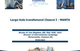 Large-hole Trans-femoral Closure I: The Manta Device
